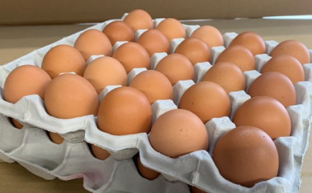 【TVで話題沸騰！】6ヶ月連続定期便！とにかく黄身が濃いたまご「マキシマムこいたまご」毎月50個 伊達市 福島県 国産 MS～LLサイズ 養鶏場直送 卵 たまご 玉子 生卵 鶏卵  F20C-564