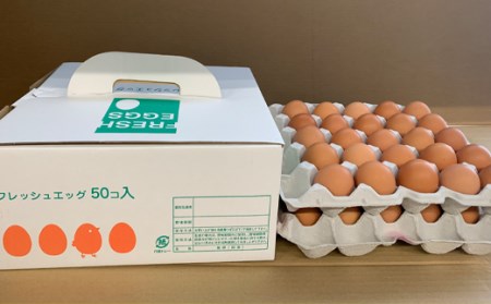 12ヶ月連続定期便！とにかく黄身が濃いたまご「こいたまご」毎月50個 伊達市 福島県 国産 MS～LLサイズ 養鶏場直送 卵 たまご 玉子 生卵 鶏卵  F20C-565
