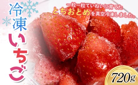 送料込み○冷凍いちご とちおとめ 12kg 控え目