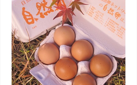 平飼い卵 とれたて発送「御幸卵（ごこうらん）」36玉入り 伊達市 福島県 国産 養鶏場直送 卵 たまご 玉子 生卵 鶏卵 F20C-619