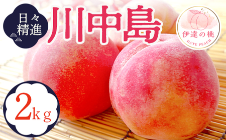 福島県産 川中島白桃 2kg 2025年8月中旬～2025年8月下旬発送 2025年出荷分 先行予約 予約 白桃 大玉 伊達の桃 桃 もも モモ 果物 くだもの フルーツ 国産 食品  F20C-646