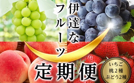 ＜2025年春から開始の定期便＞伊達なフルーツ定期便（いちご・もも2種・ぶどう2種）果物 フルーツ 苺 イチゴ 桃 モモ 葡萄 ブドウ 福島県 伊達市 F20C-484