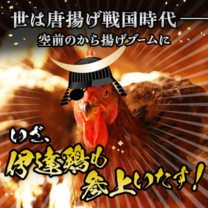 伊達鶏のから揚げ125g×4パック 500gセット 福島県 伊達市産 F20C-568