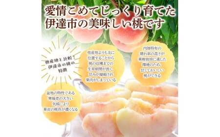 福島の桃 早生黄金桃 2kg（6～12玉） 【あかい果樹園】 先行予約 フルーツ 果物 もも モモ momo F20C-690