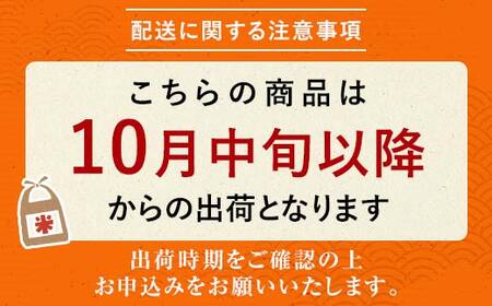 2025年産米 さいとう農園が作った天のつぶ 精米10kg 白米 【先行予約】2025年10月中旬から順次発送 ご飯 ごはん ライス 伊達市 F21C-168