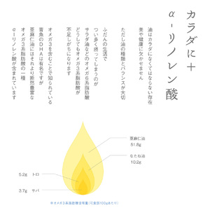 生食用 亜麻仁油 45g 1本 亜麻