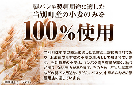 [1-238] 　当別町産 小麦 ゆめちから 100%乾麵 パスタ 10本 JA北石狩農協協同組合 北海道 当別町