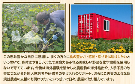 [1.5-260]　北海道当別町産 除草剤不使用 朝採れ アスパラガス グリーン 1kg 700g ＋ パープル 300g