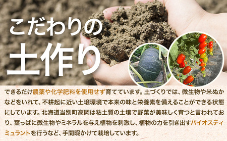 [1.5-260]　北海道当別町産 除草剤不使用 朝採れ アスパラガス グリーン 1kg 700g ＋ パープル 300g