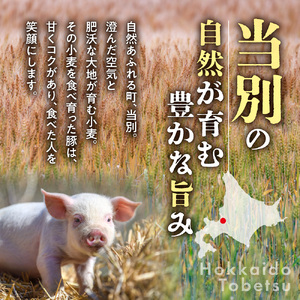 浅野農場厳選豚肉ブロック食べ比べセット計24kg 6ヶ月定期便 