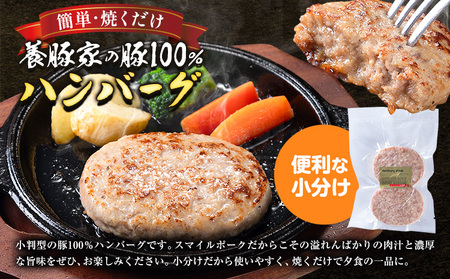 [0.95-307]　養豚家の豚100％ハンバーグセット 120g2枚入りパック×5セット計10枚 | 豚肉ハンバーグ 豚ハンバーグ 豚100％ハンバーグ 小分け ハンバーグ 