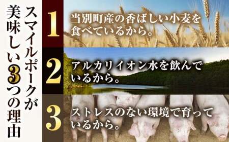 [0.95-307]　養豚家の豚100％ハンバーグセット 120g2枚入りパック×5セット計10枚 | 豚肉ハンバーグ 豚ハンバーグ 豚100％ハンバーグ 小分け ハンバーグ 