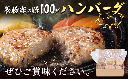 [0.95-307]　養豚家の豚100％ハンバーグセット 120g2枚入りパック×5セット計10枚 | 豚肉ハンバーグ 豚ハンバーグ 豚100％ハンバーグ 小分け ハンバーグ 