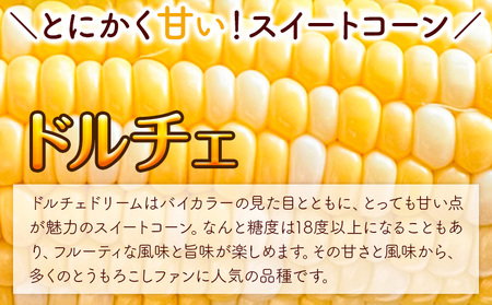 [1.1-340] 【2025年先行予約】野口農園 高糖度 とうもろこし「ドルチェドリーム」15本 | とうもろこし トウモロコシ 北海道とうもろこし 朝採れとうもろこし 産地直送とうもろこし