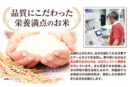 [2.6-48]　【令和7年産先行予約】　野口農園お米セット10kg「ななつぼし・おぼろづき」 《10月末頃から順次出荷》