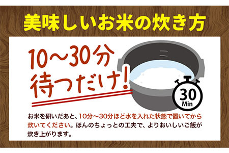 [2.6-48]　【令和7年産先行予約】　野口農園お米セット10kg「ななつぼし・おぼろづき」 《10月末頃から順次出荷》
