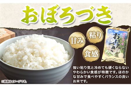 [1.3-50]　当別産米おぼろづき10kg