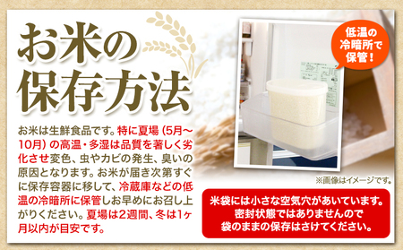 [6.5-53]　当別産米食べ比べ50kg「ななつぼし・おぼろづき」【5か月定期便】