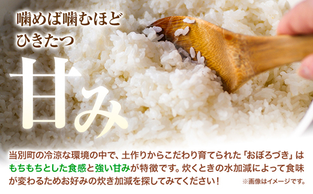 [1.25-63]　ファームふたば特別栽培米「おぼろづき」10kg 北海道 当別町