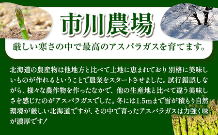 [1.6-70]【令和7年先行受付】市川農場とれたてグリーンアスパラLサイズ1.5kg