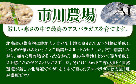 [1.6-69]【令和7年先行受付】市川農場とれたて極太グリーンアスパラ1kg