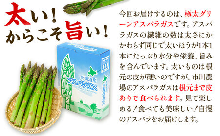 [1.6-69]【令和7年先行受付】市川農場とれたて極太グリーンアスパラ1kg