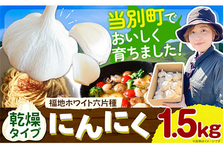 1.1-81] にんにく（福地ホワイト六片種）1.5kg | 北海道当別町