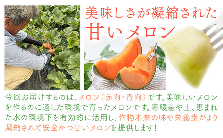 [1.2-84] 北海道メロン（赤肉・青肉）計2玉 【2026年先行予約】