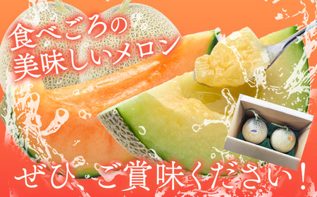 [1.2-84] 北海道メロン（赤肉・青肉）計2玉 【2026年先行予約】