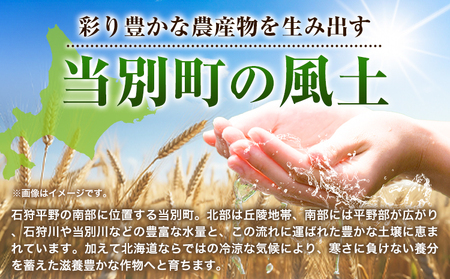 [1-99]　北海道当別産小麦100％まんぷく麺セット