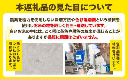 [2.3-195]　玄米ななつぼし22kg 北海道 当別町