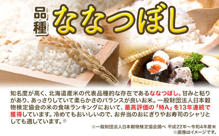 [1.3-198]【令和6年産先行予約】　精米ななつぼし10kg 北海道 当別町 お米 米 精米