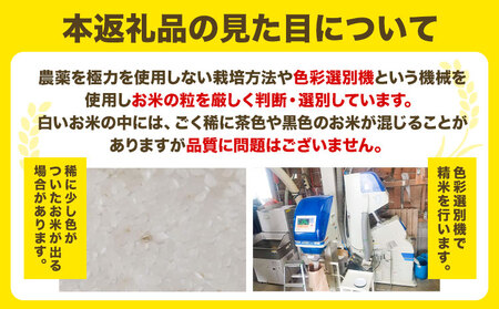 [1.3-198]【令和6年産先行予約】　精米ななつぼし10kg 北海道 当別町 お米 米 精米