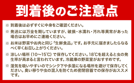 [1.3-198]【令和6年産先行予約】　精米ななつぼし10kg 北海道 当別町 お米 米 精米