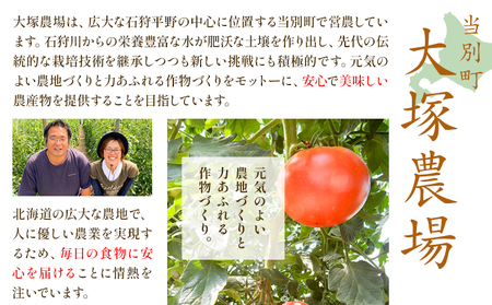 [1.2-207]　『ぜいたくトマト』トマトジュース500g　2本セット