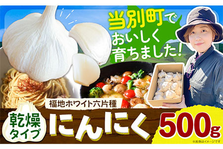 [0.4-193]　【令和7年発送先行受付】にんにく（福地ホワイト六片種）500g