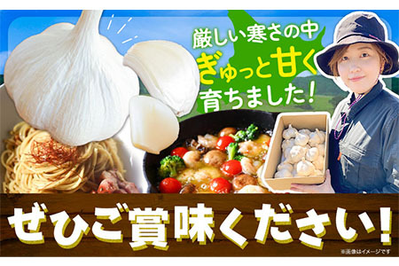 [0.4-193]　【令和7年発送先行受付】にんにく（福地ホワイト六片種）500g