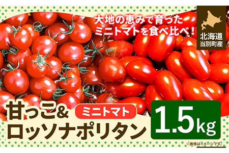 B1-223] 北海道当別町産化学農薬不使用ミニトマト：甘っこ1.1kg＋