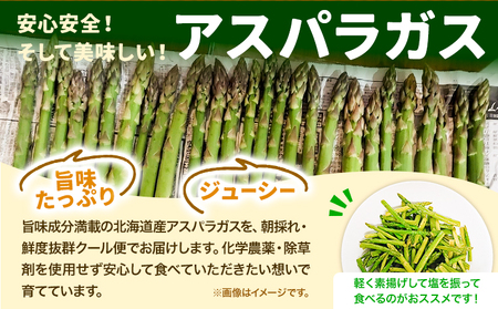 [1.3-224]　北海道当別町産化学農薬不使用採れたてグリーンアスパラガス1kg M～2Lサイズ混合