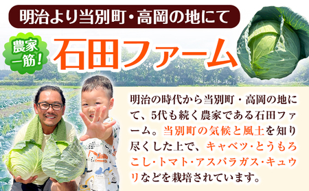 [0.8-227]　（令和6年発送先行受付）石田ファームの冬キャベツ6kgセット 石田ファーム 北海道