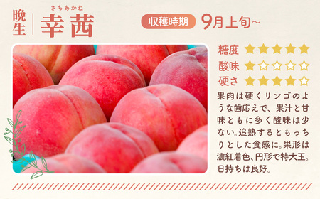 もも【幸茜・2026年産先行受付】特秀　3kg　桑折町産　JAふくしま未来　桃 ／ モモ 果物 くだもの フルーツ 甘味 果汁 ジューシー 桑折 こおり こおりまち 福島県 特産品 ／ もも モモ 果物 フルーツ 旬 甘い 甘み ジューシー 果肉 果汁 新鮮 フレッシュ デザート おいしい 産地直送 桑折 こおり こおりまち 福島県 特産品 No.140