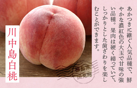 透過式光センサー川中島白桃 特秀3kg相当 9玉～11玉＜ ふくしま未来農業協同組合 ＞ | ふくしま 桃 福島 もも 国見 モモ ※2026年8月中旬頃より順次発送予定 ※沖縄・離島への配送不可