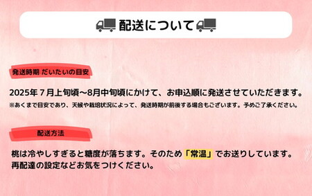 ◆2025年夏発送◆《産直・家庭用桃・約5kg》　※北海道・沖縄・離島への配送不可　※2025年7月上旬頃～8月中旬頃に順次発送予定｜先行予約 予約 桃 もも モモ 果物 くだもの フルーツ 訳あり 家庭用 詰め合わせ 福島 ふくしま