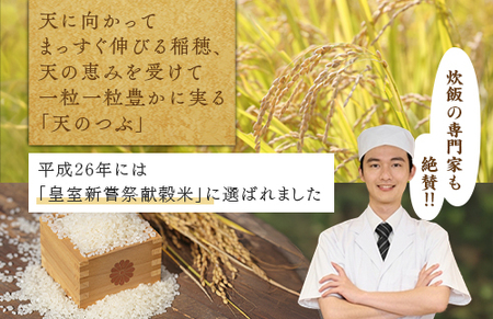 【令和7年産】米　国見町産　天のつぶ 20kg　5kg×4袋 ※沖縄・離島への配送不可 ※2025年10月中旬～2026年2月頃に順次発送予定