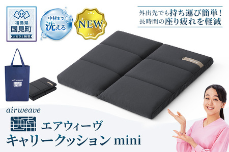 エアウィーヴ キャリークッションmini | airweave おすすめ エアウィーブ air weave 洗える 洗濯 クッション 座布団 椅子 持ち運び ベルト付き