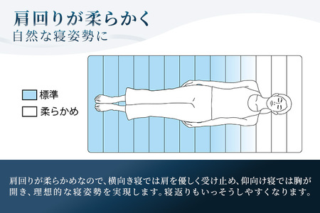 エアウィーヴ スマートZ01 特別仕様 シングル 折りたたみ 三つ折り|airweave おすすめ マットレス ベッドマットレス 洗える 洗濯 ふとん 寝具 睡眠 快眠 収納便利 エアウィーブ air weave