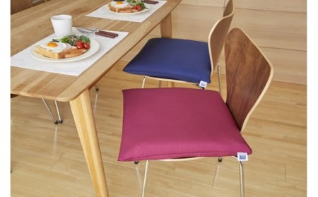 エアウィーヴ 座布団 (ネイビー)