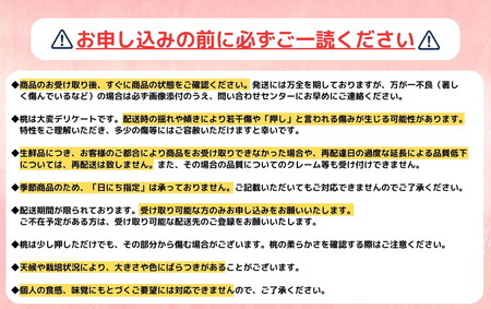 ◇2024年夏発送◇＜ 産直・訳あり桃・約5kg ＞ ※着日指定不可 ※北海道