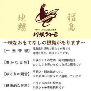 川俣シャモ くんせい丸約1.2kg【配送不可地域:離島】【1064182】