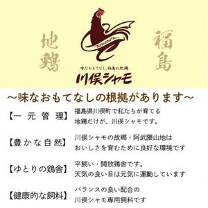 川俣シャモ　くんせい詰め合わせ　3～4人前【配送不可地域：離島】【1064183】